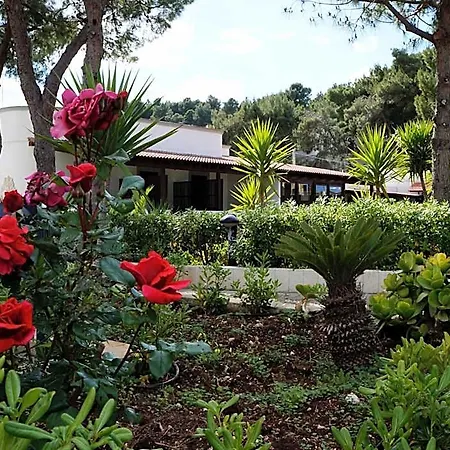 Hotel Parco Carabella Vieste